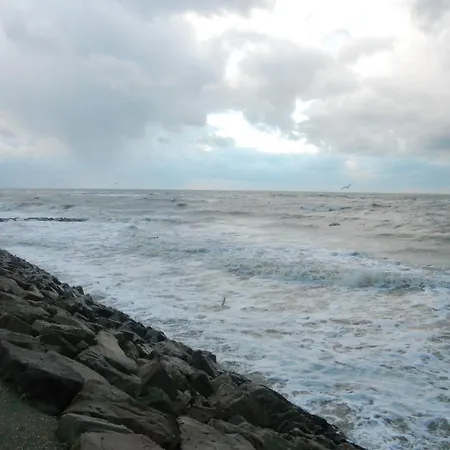 公寓 Lephare 翁弗勒尔